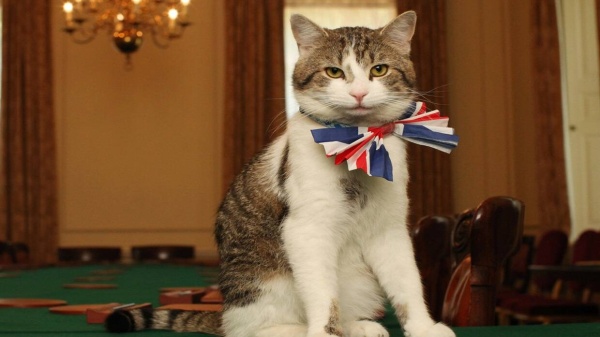 &laquo;أميرة&raquo; الروسية تزاحم &laquo;لاري&raquo; في داونينغ ستريت