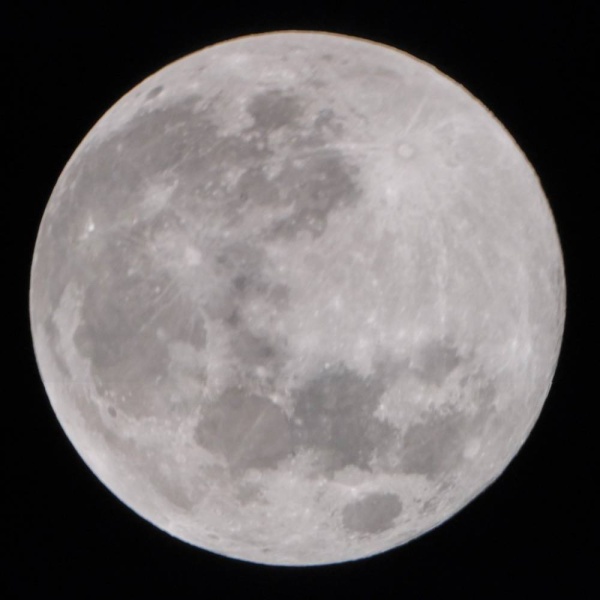 آل عصفور ينظم أمسية فلكية لرصد &ldquo;قمر الصيادين العملاق" بقلعة البحرين