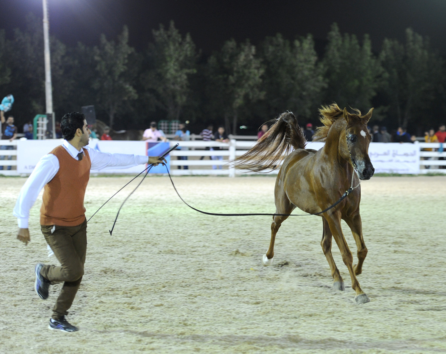 ناصر بن حمد يوجه لتنظيم بطولة فيصل بن حمد لجمال الخيل