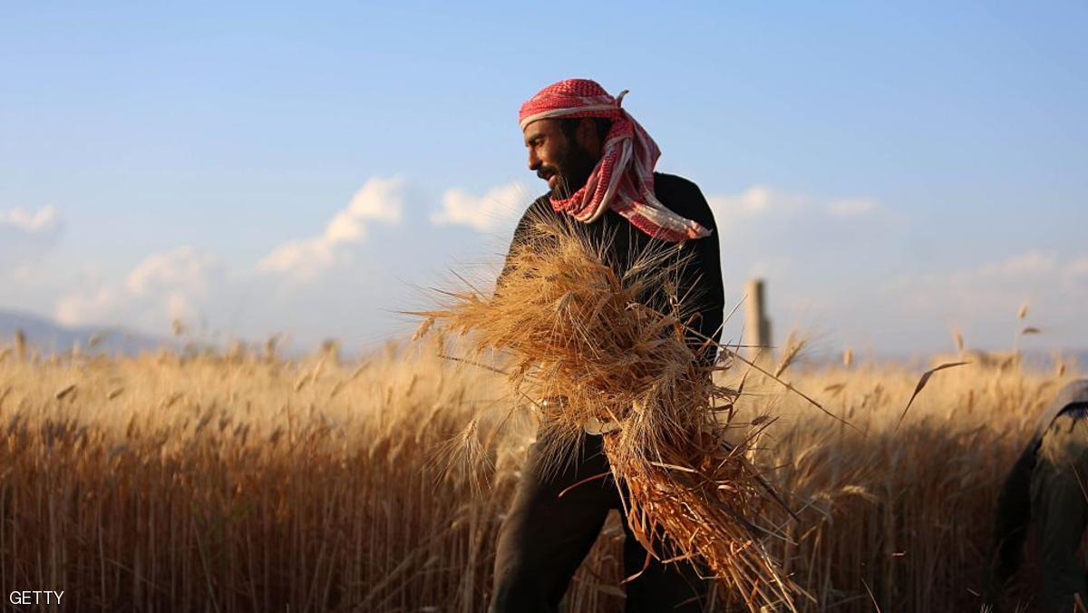 إنتاج الغذاء في سوريا بأدنى مستوياته