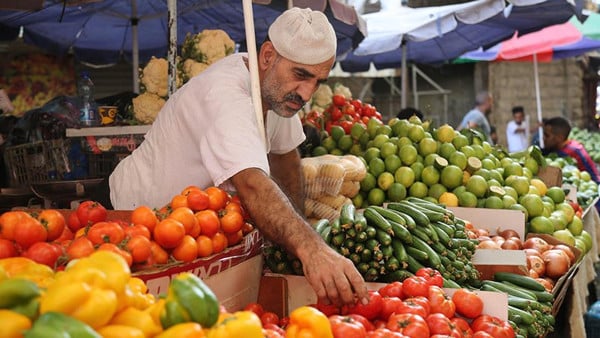 روسيا ترفع الحظر عن استيراد الخضر والفاكهة من مصر