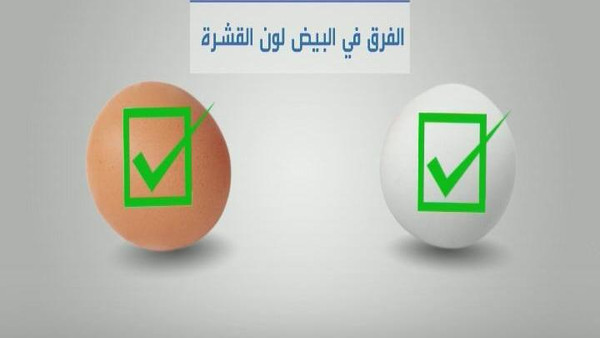 لون الطعام لا يلعب دوراً في تحديد قيمته الغذائية