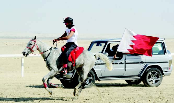 انطلاق سباق افتتاح موسم القدرة صباح اليوم