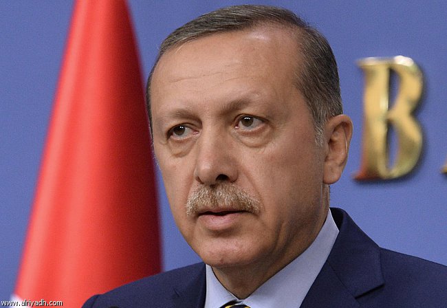 اردوغان مازال مهددا رغم التعديل الوزاري الواسع