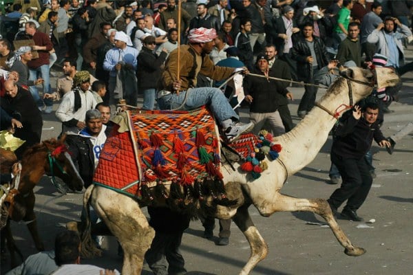 اقالة النائب العام المصري غداة تبرئة متهمي قتل المتظاهرين بموقعة الجمل