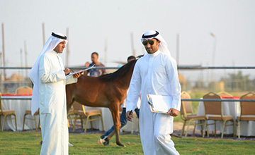 طاقم بحريني يشارك في إدارة بطولة الجلهمي لجمال الخيل العربية