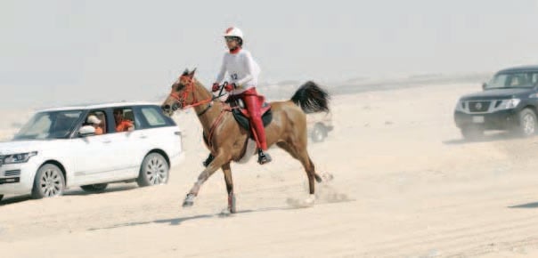 نجلاء بنت سلمان تحقق المركز الأول في مهرجان أبوظبي للقدرة