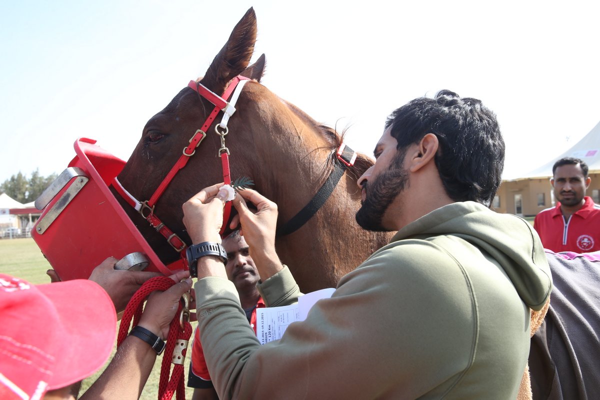 ناصر بن حمد يضع شارة الشهيد خلال سباق العيد الوطني للقدرة