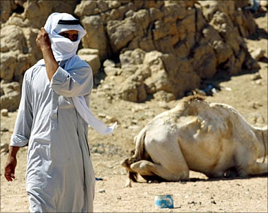 هل للبدو دور في الحرب على الإسلاميين في سيناء؟