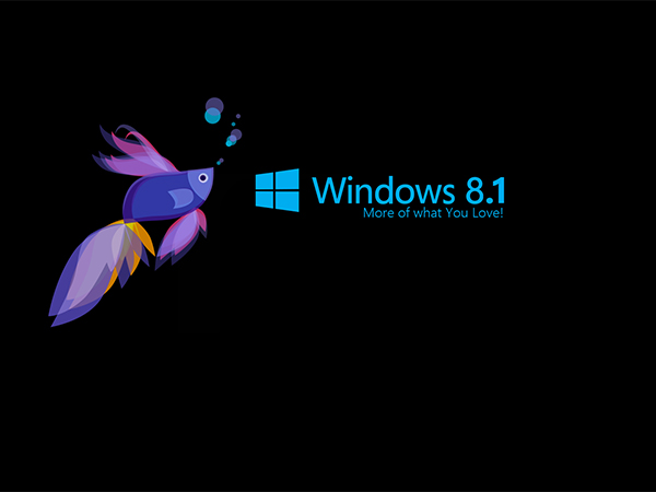 أكبر مؤيدي مايكروسوفت: Windows 8 كارثة!