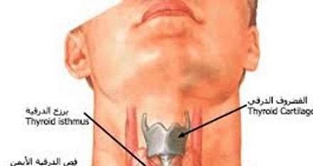 خلل الغدة الدرقية يهدد بأمراض القلب