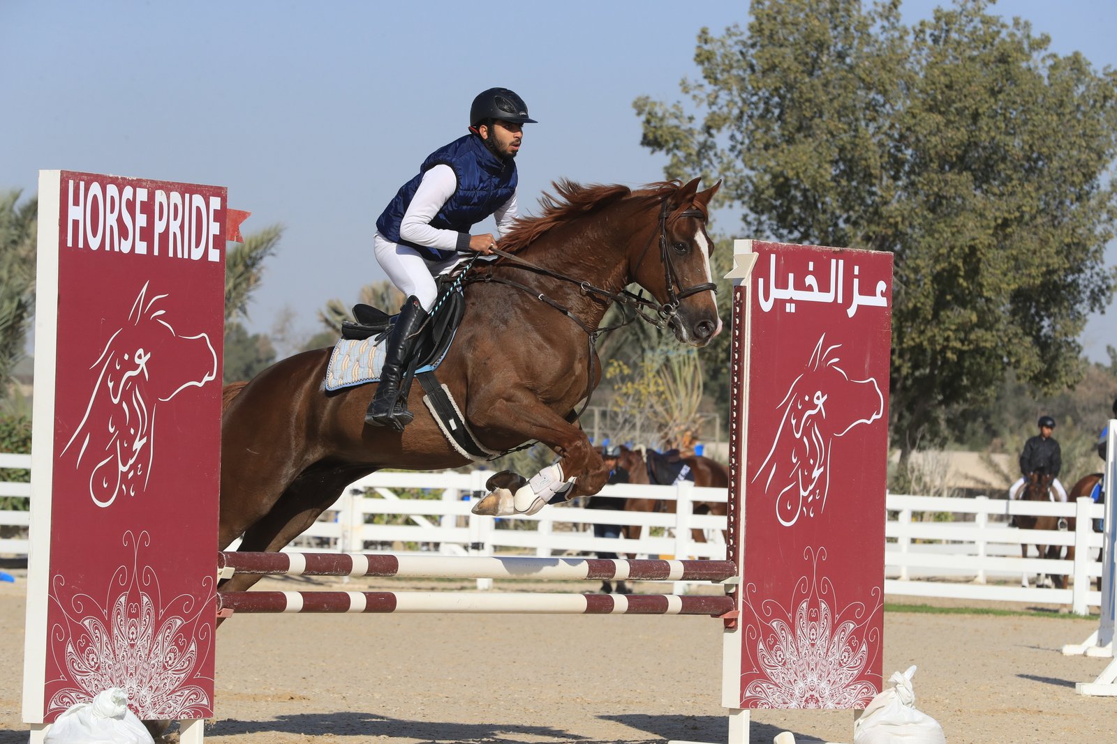 علي عيسى يخطف لقب بطولة الاتحاد الملكي للفروسية لقفز الحواجز