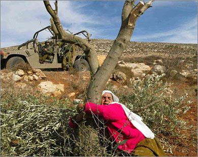 الجامعة العربية تطالب العالم بإنهاء الاحتلال الإسرائيلي لفلسطين