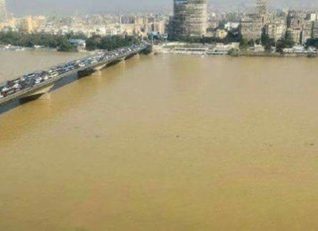 نهر النيل يتحول إلى الأصفر بين ليلة وضحاها.. والمصريون في صدمة