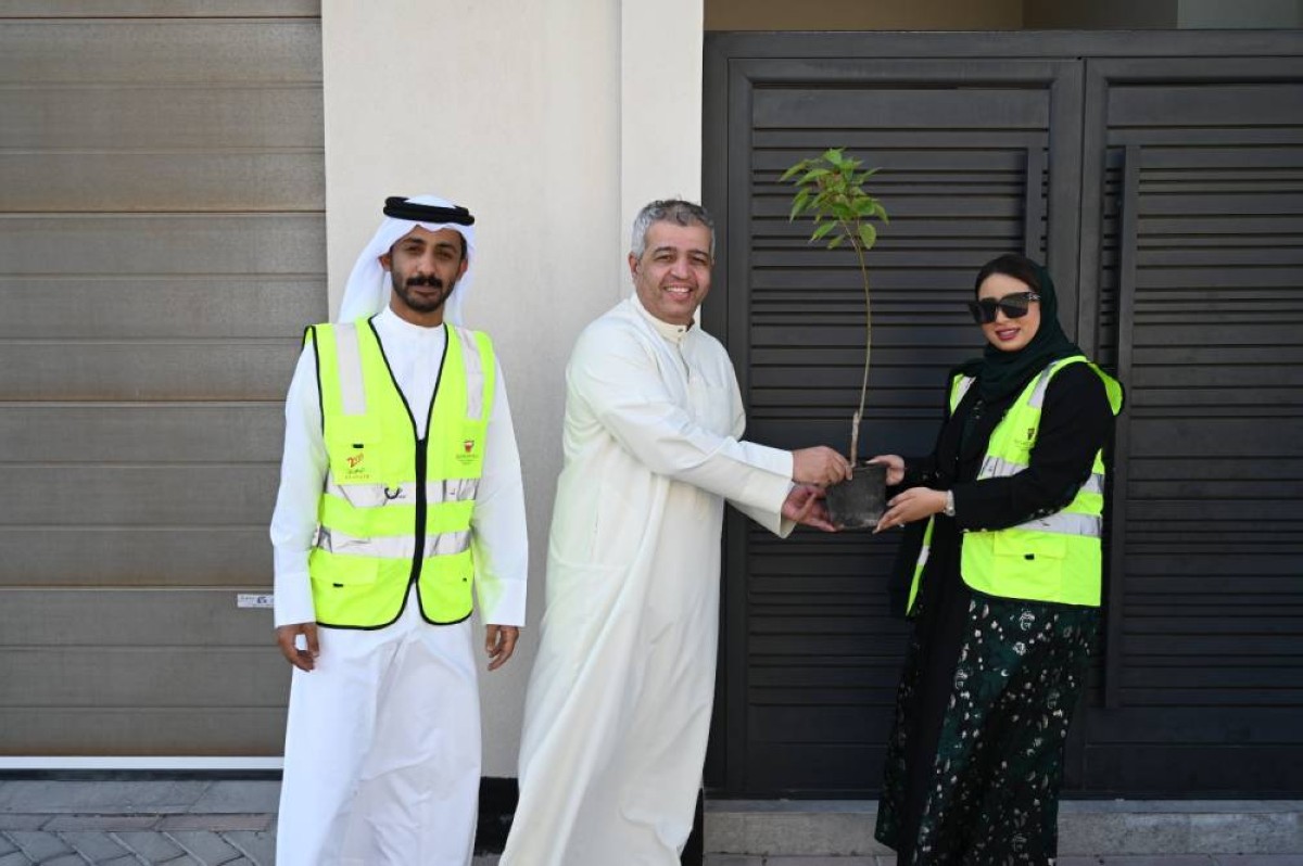 زراعة 100 شتلة في 4 مدن إسكانية