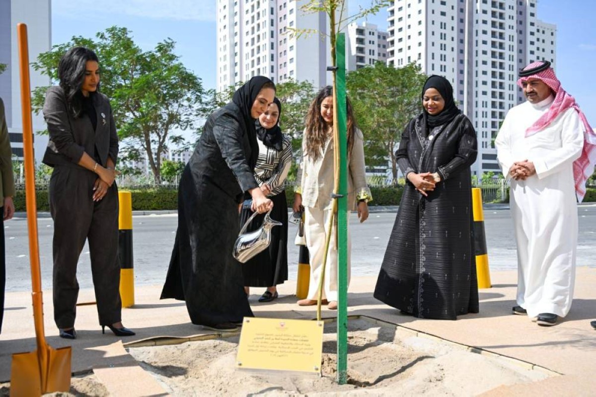 زراعة 100 شتلة في 4 مدن إسكانية