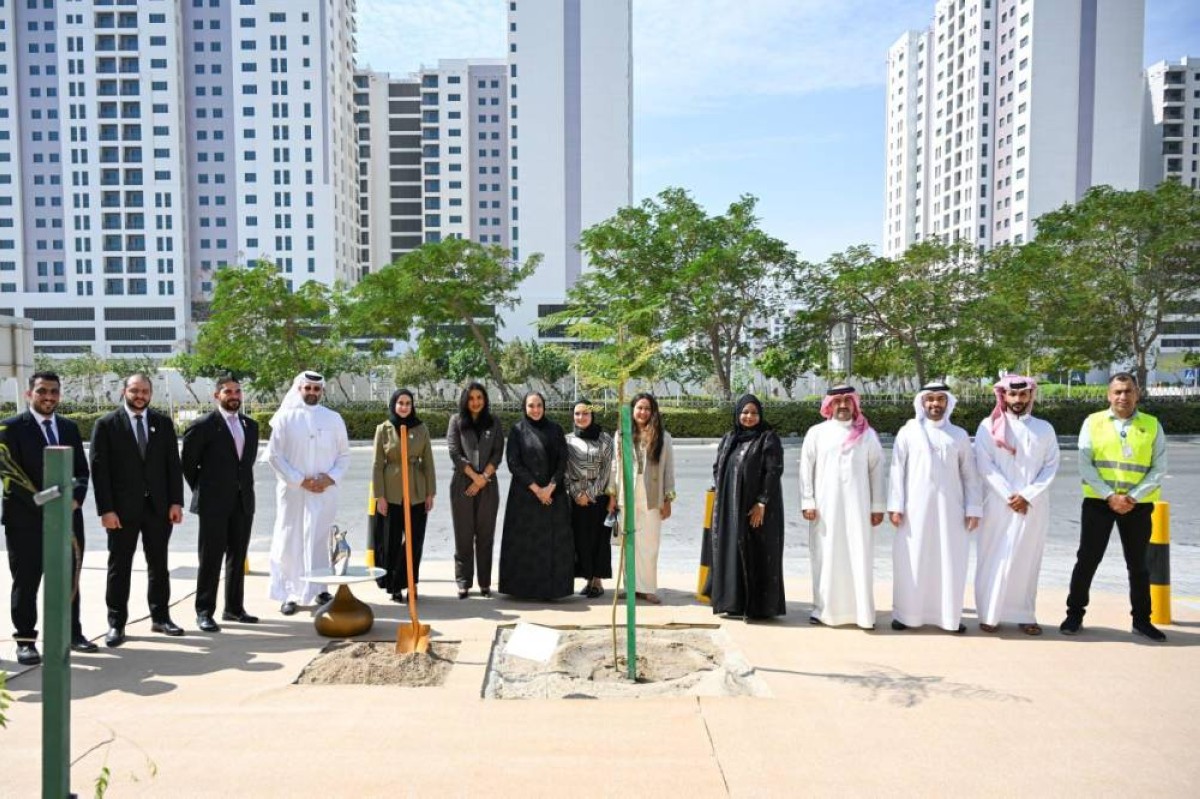 زراعة 100 شتلة في 4 مدن إسكانية