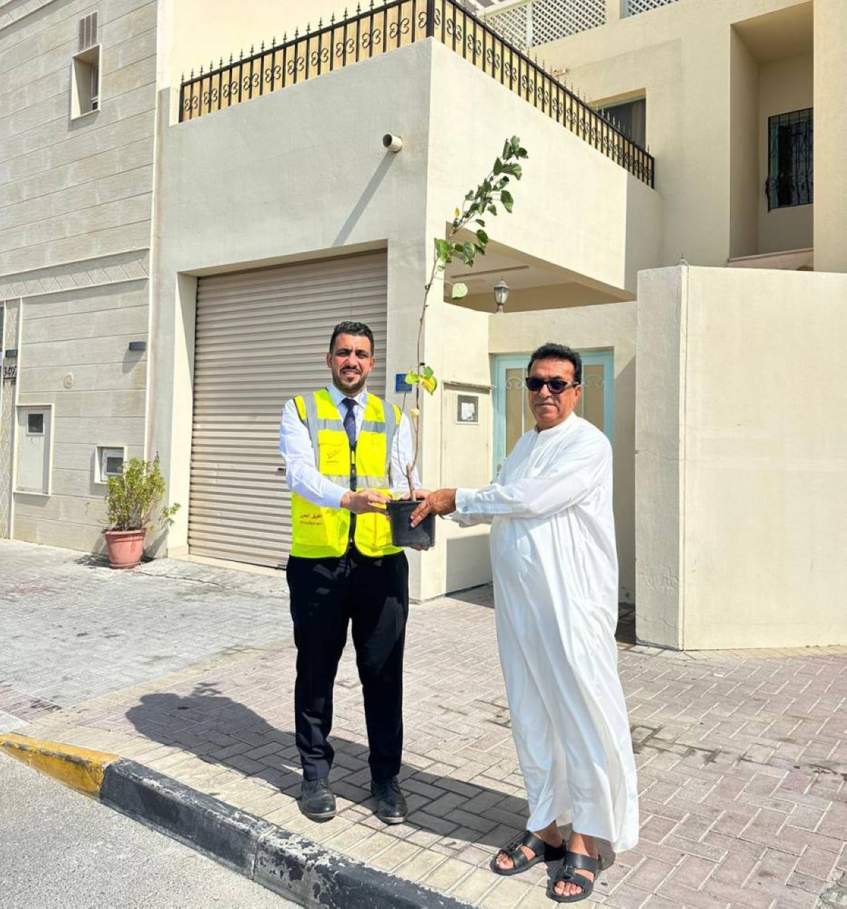 زراعة 100 شتلة في 4 مدن إسكانية