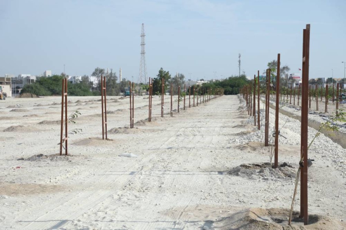 ضمن فعاليات أسبوع الشجرة .. بلدية الجنوبية تزرع 200 شتلة بشارع الشيخ سلمان