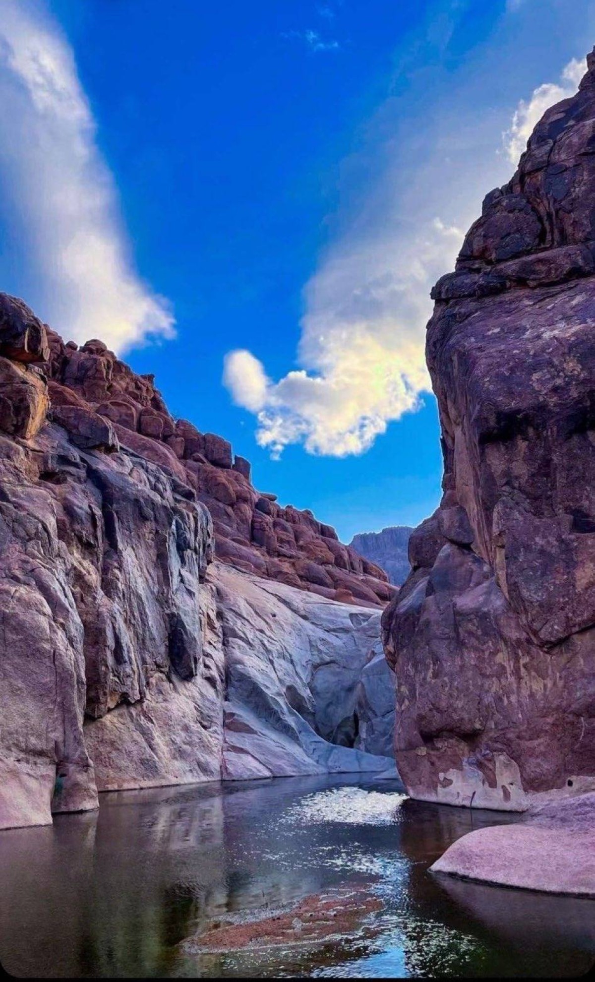 السعودية.. منطقة حائل الصحراوية تتلون بالبياض في مشهد فريد ونادر