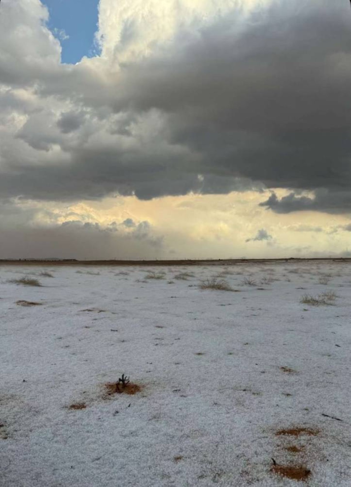 السعودية.. منطقة حائل الصحراوية تتلون بالبياض في مشهد فريد ونادر