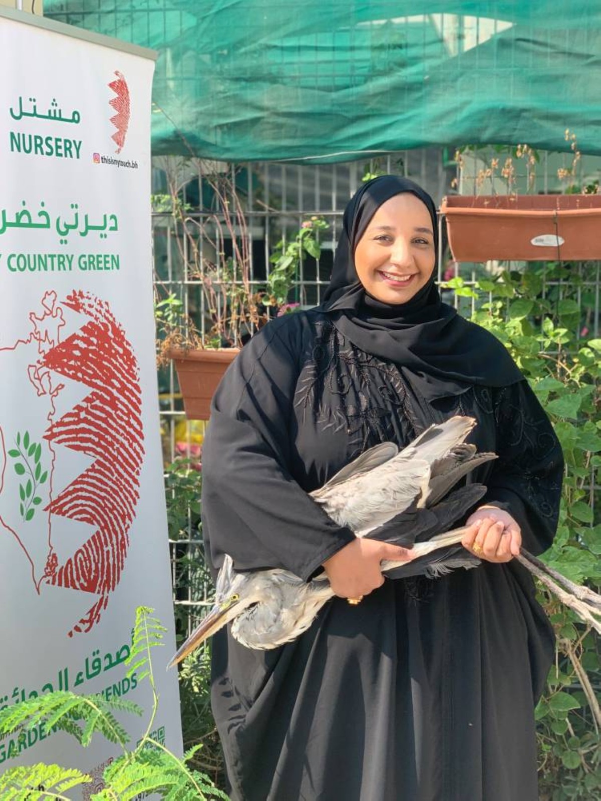 طائر البلشون "ظريف" من المحرق إلى العرين