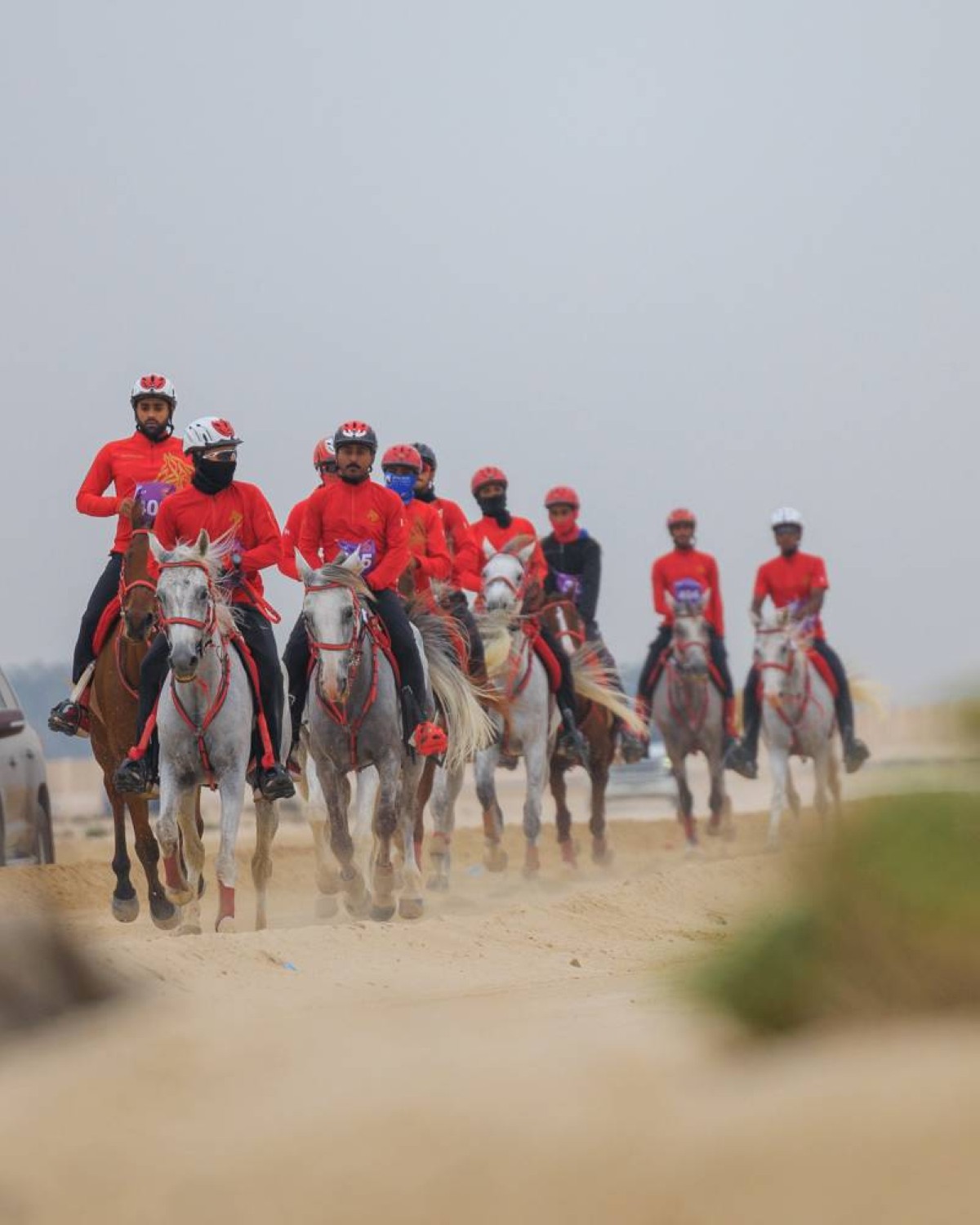 قرية البحرين الدولية للقدرة تحتضن ثاني سباقات الموسم 2024/2025