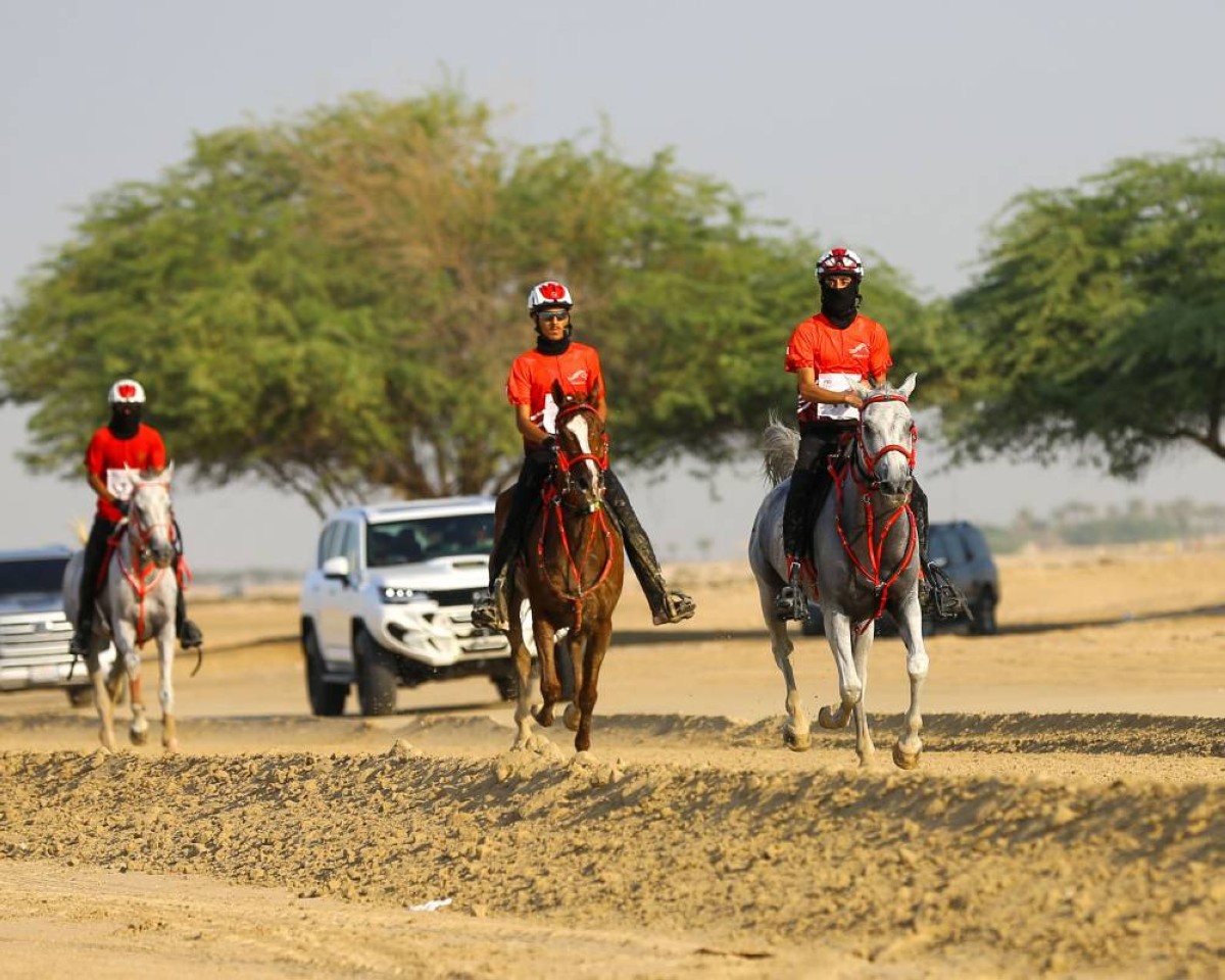 قرية البحرين الدولية للقدرة تحتضن ثاني سباقات الموسم 2024/2025
