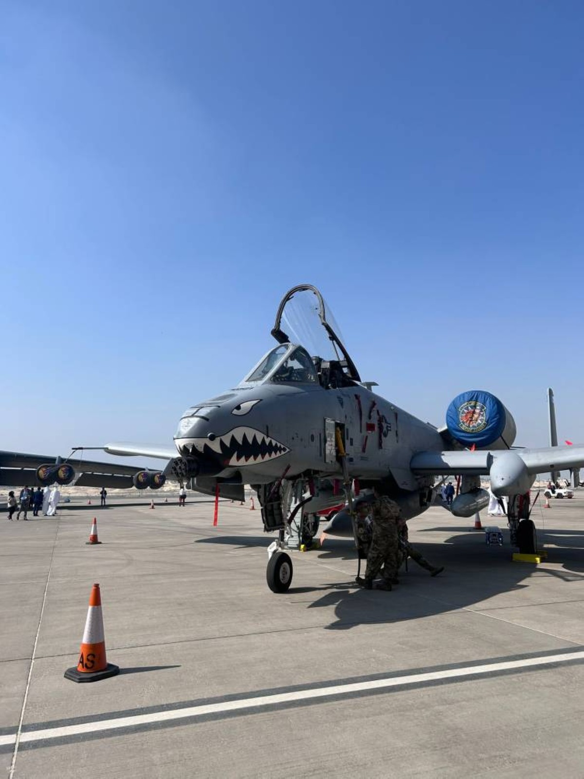 العنصر الشبابي حاضر بقوة في المعرض