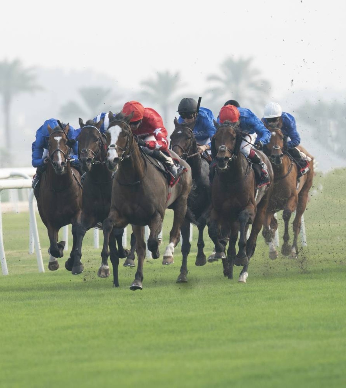 صراع أبطال الجياد والفرسان العالميين على كأس البحرين