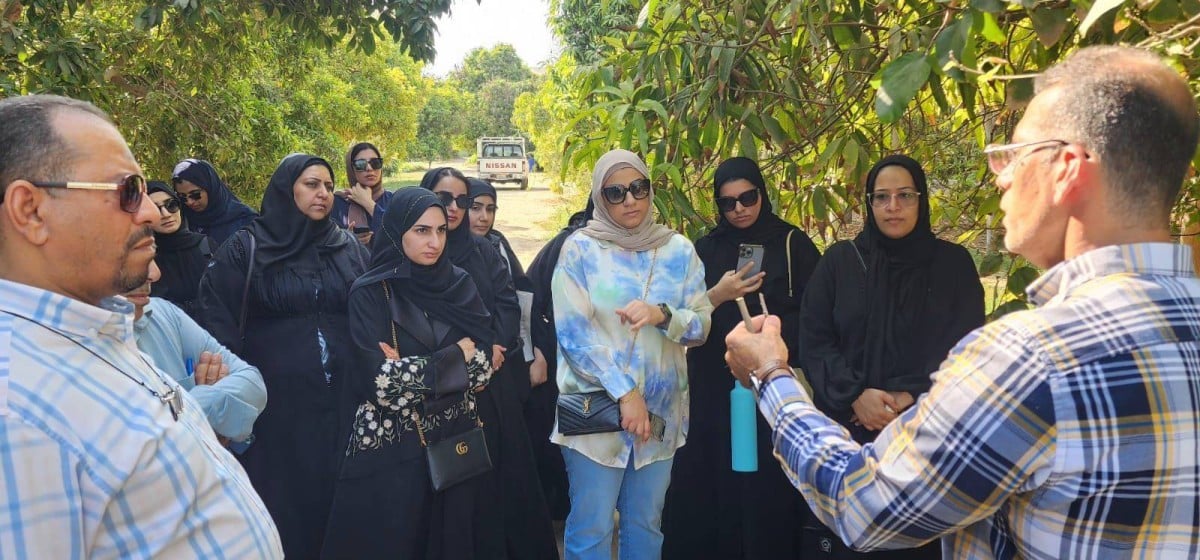 «البلديات والزراعة» تنظم دورة «إكثار الأشجار المثمرة» لـ200 معلم ومعلمة