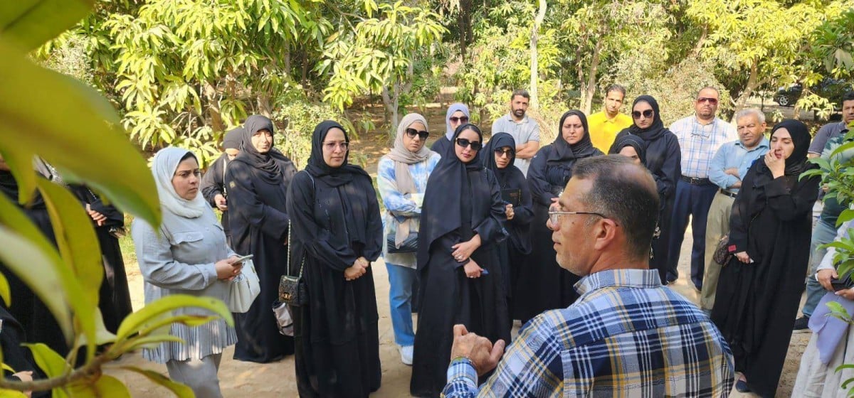 «البلديات والزراعة» تنظم دورة «إكثار الأشجار المثمرة» لـ200 معلم ومعلمة