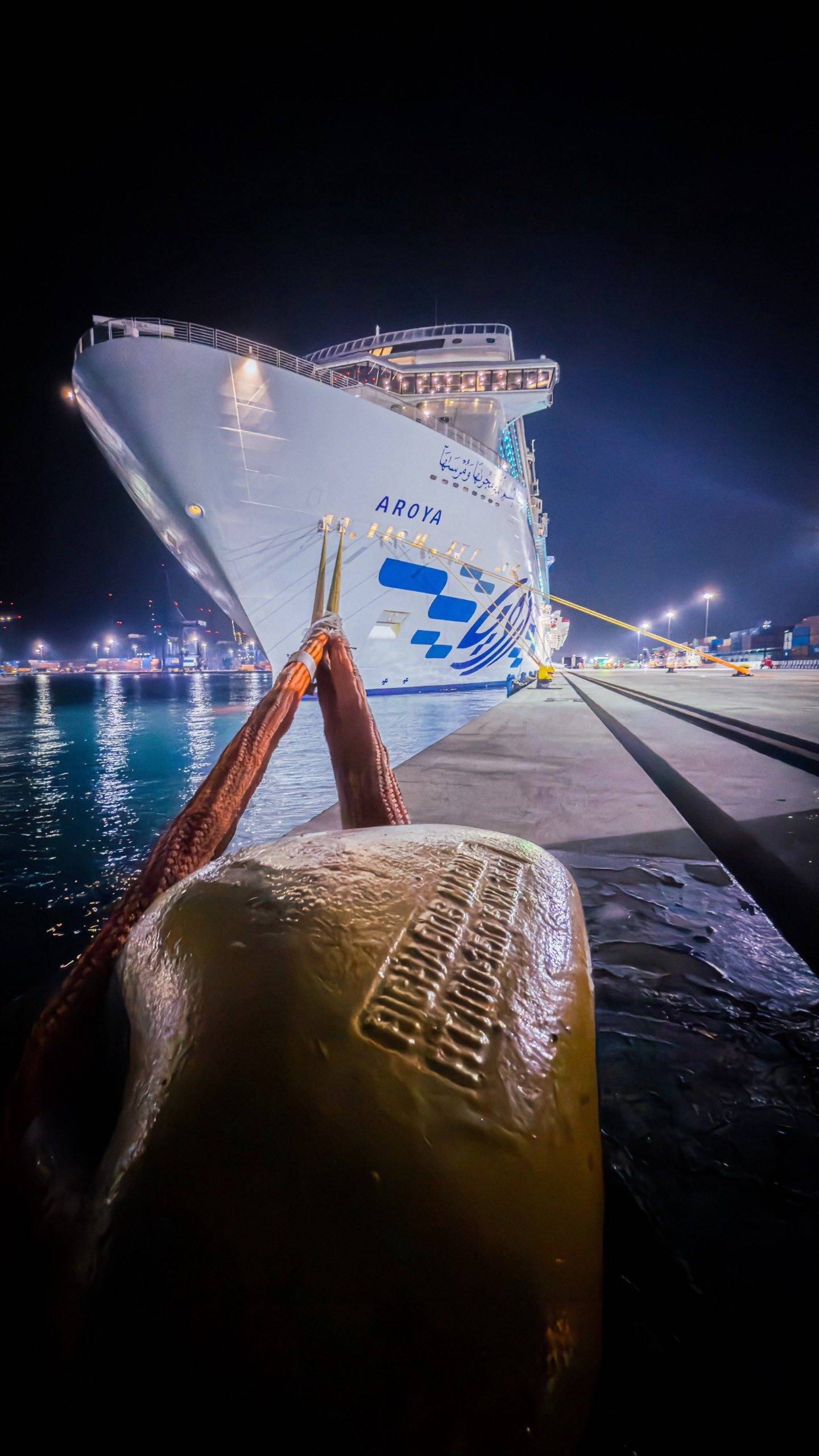 وصول أول سفينة سياحية سعودية إلى ميناء جدة تتسع لـ3362 راكب ويطول 335 متر