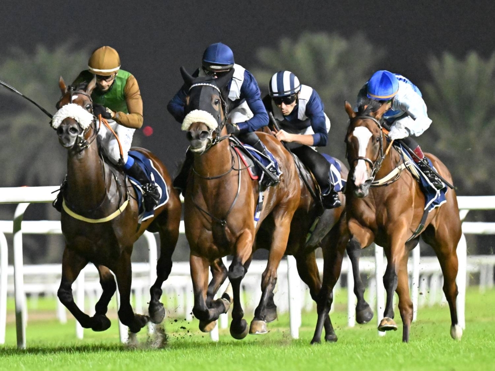 مهرجان العيد الوطني لسباق الخيل على كؤوس هيئة الرياضة واللجنة الأولمبية ... وجوائز للجمهور
