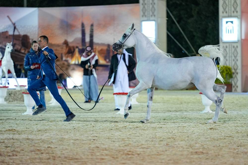 وسط منافسة قوية.. انطلاق بطولة العيد الوطني لجمال الخيل العربية