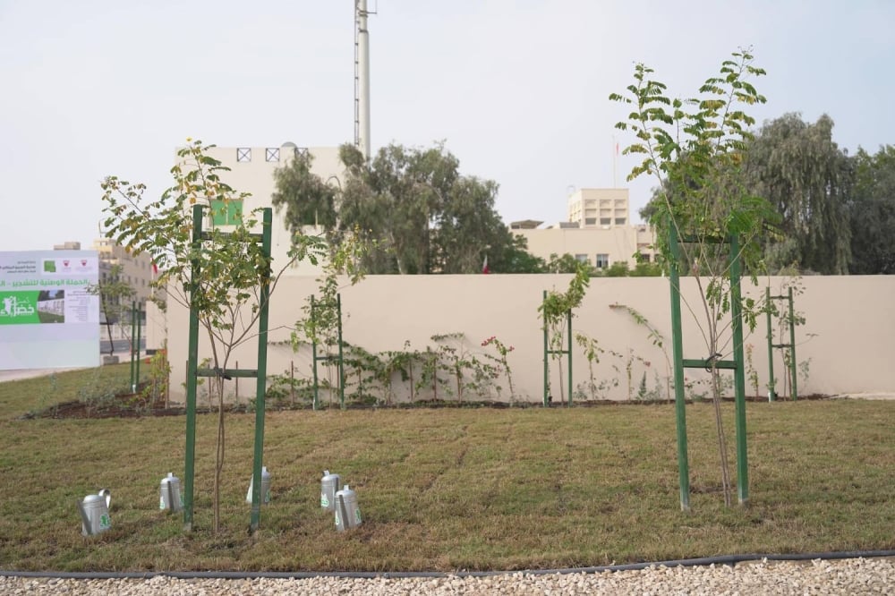 المبادرة الوطنية لتنمية القطاع الزراعي تعلن عن زراعة 335 شجرة وشجيرة في شارع مشتان بدعم من البنك الأهلي المتحد