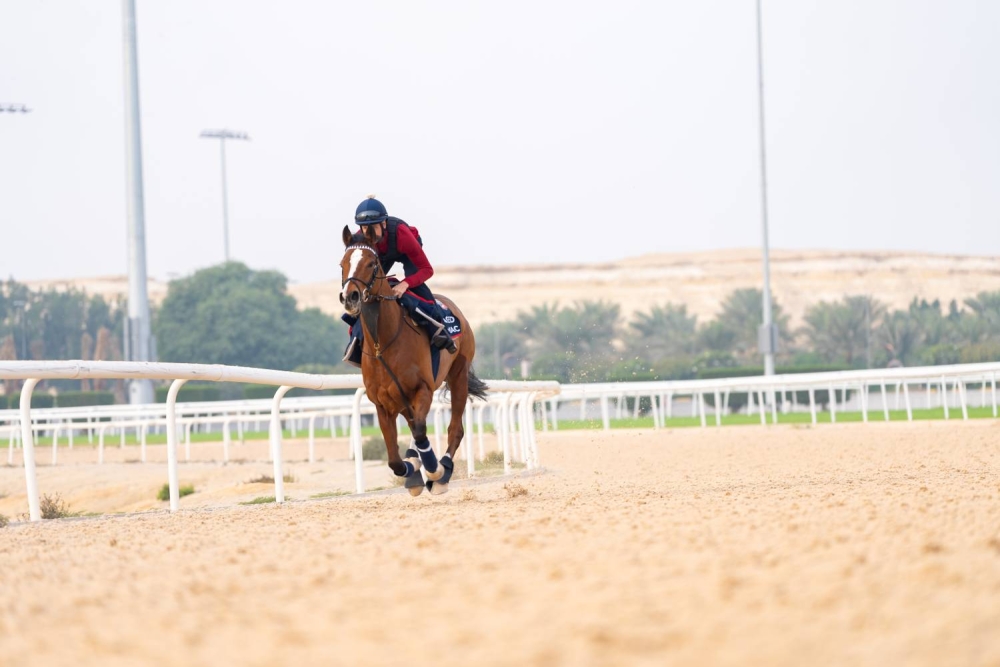 مشاركات كبيرة وقوية في الجولة الثانية لبطولة البحرين الدولية