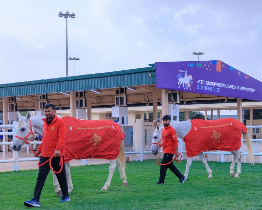 الفريق الملكي للقدرة يتطلع لنتائج إيجابية في بطولة المجموعة الإقليمية السابقة للقدرة