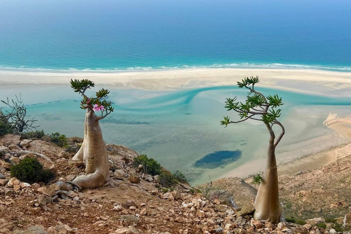 أبرزها جزيرة الأفاعي.. تعرف على أغرب الجزر في العالم