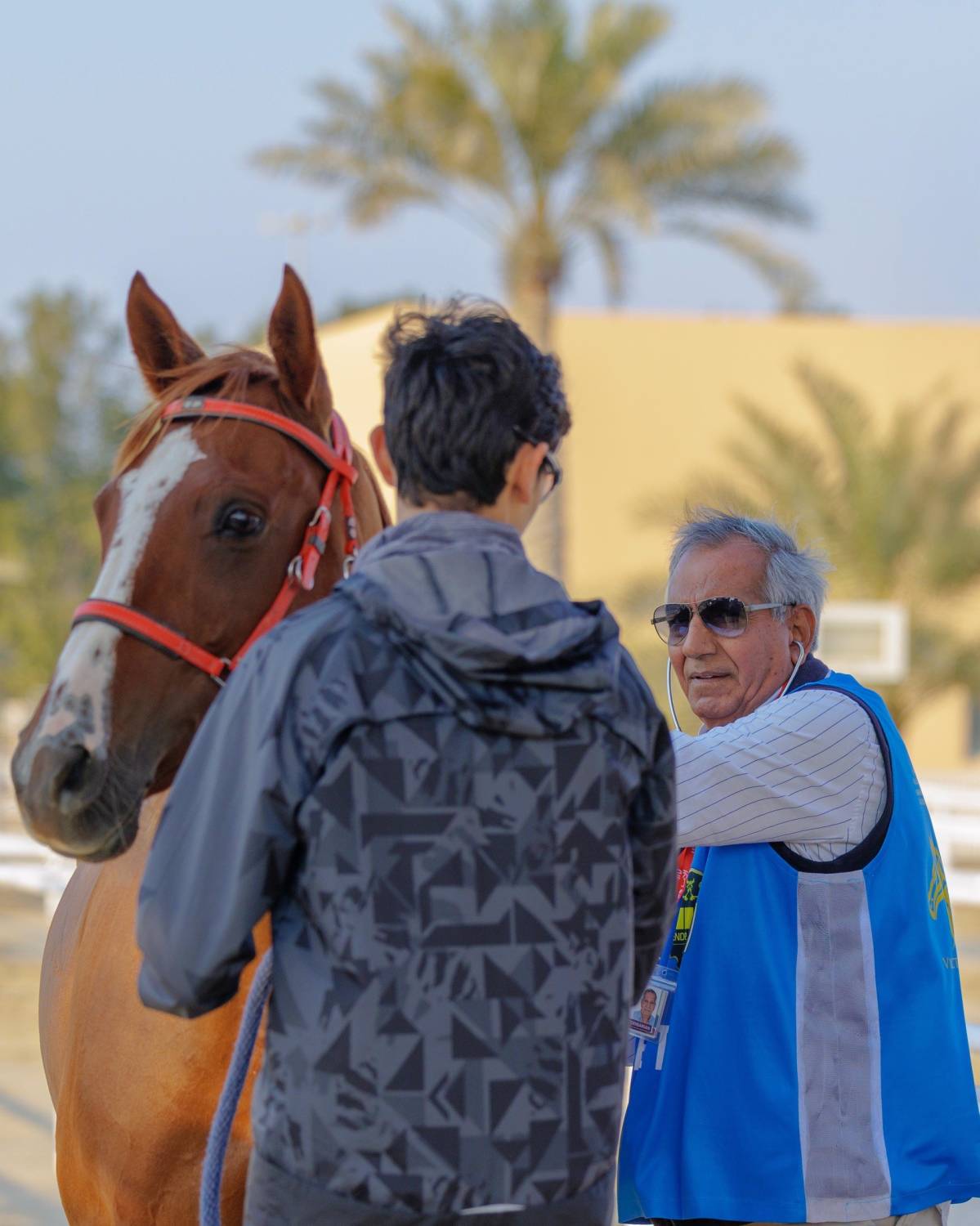 انطلاق السباقات الدولية والمحلية لبطولة خالد بن حمد لسباق القدرة