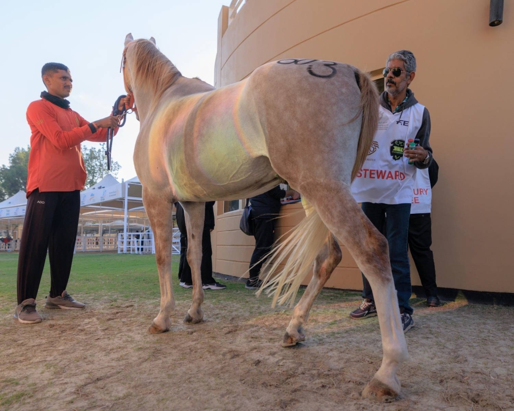 انطلاق السباقات الدولية والمحلية لبطولة خالد بن حمد لسباق القدرة