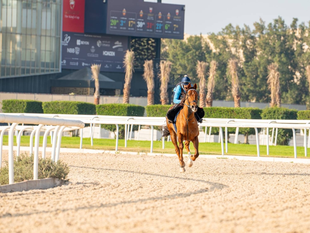مشاركات قوية على كؤوس عيسى بن سلمان وأنجاله والعاديات والوسمية