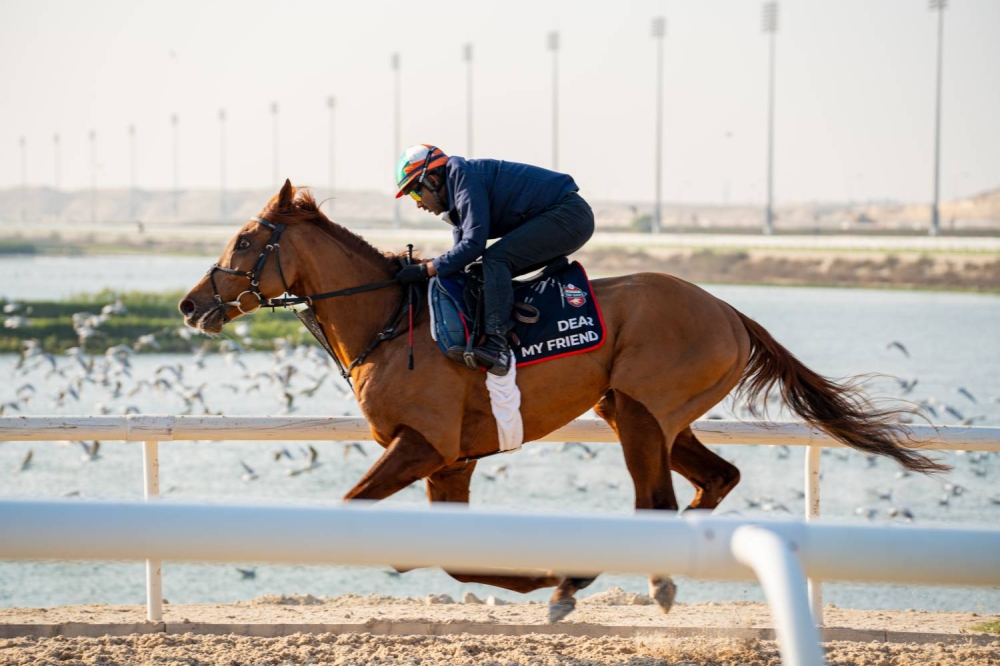 مشاركات قوية على كؤوس عيسى بن سلمان وأنجاله والعاديات والوسمية