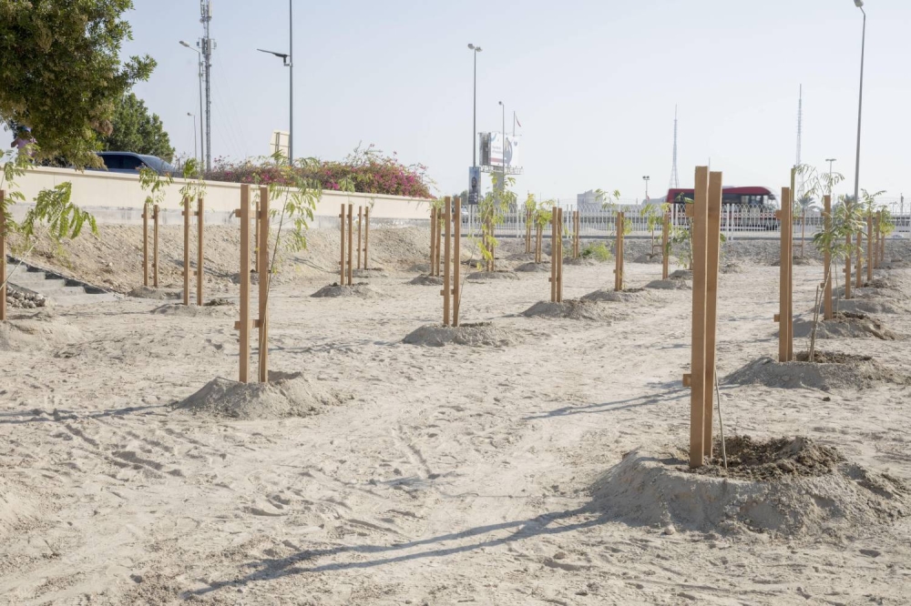 بدعم من بنك سيكو: زراعة 120 شجرة في شارع الشيخ سلمان ضمن حملة "دُمتِ خضراء"