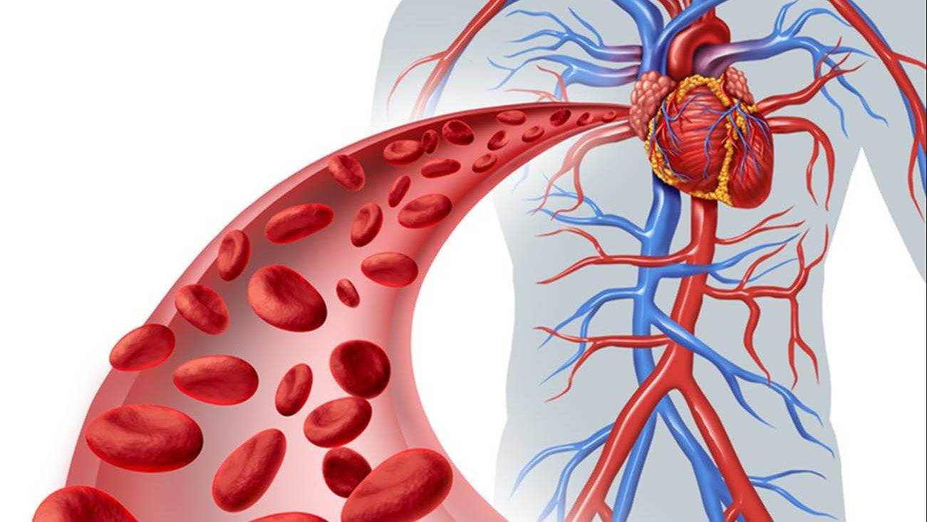 ضعف الدورة الدموية.. اعرف الأسباب والأعراض وطرق العلاج