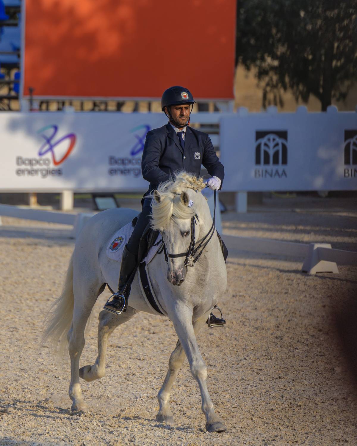 مشاركة واسعة ومنافسة قوية في بطولة الفرسان لترويض الجياد