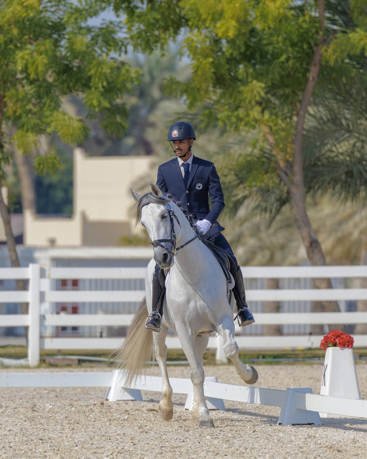 مشاركة واسعة ومنافسة قوية في بطولة الفرسان لترويض الجياد