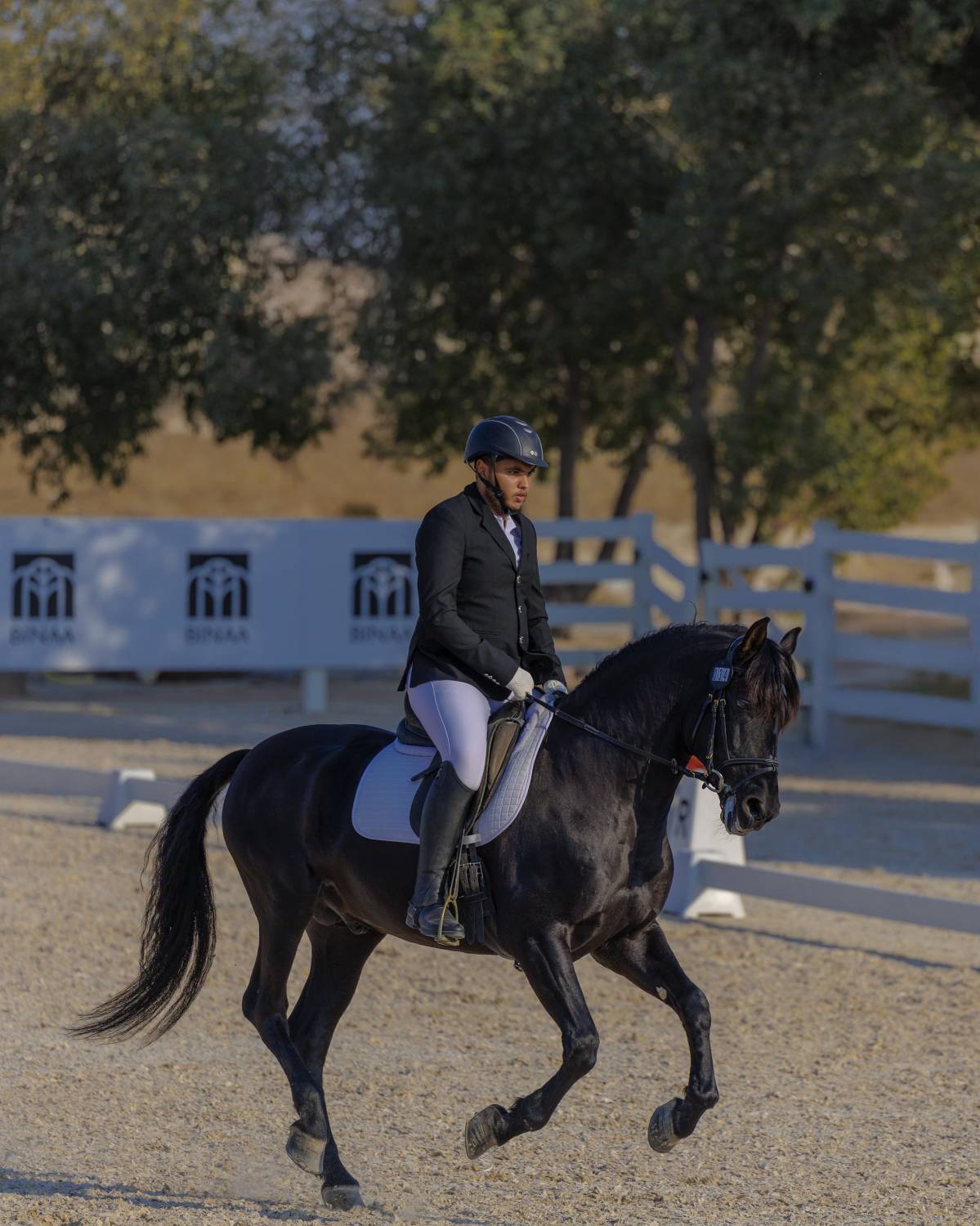 مشاركة واسعة ومنافسة قوية في بطولة الفرسان لترويض الجياد