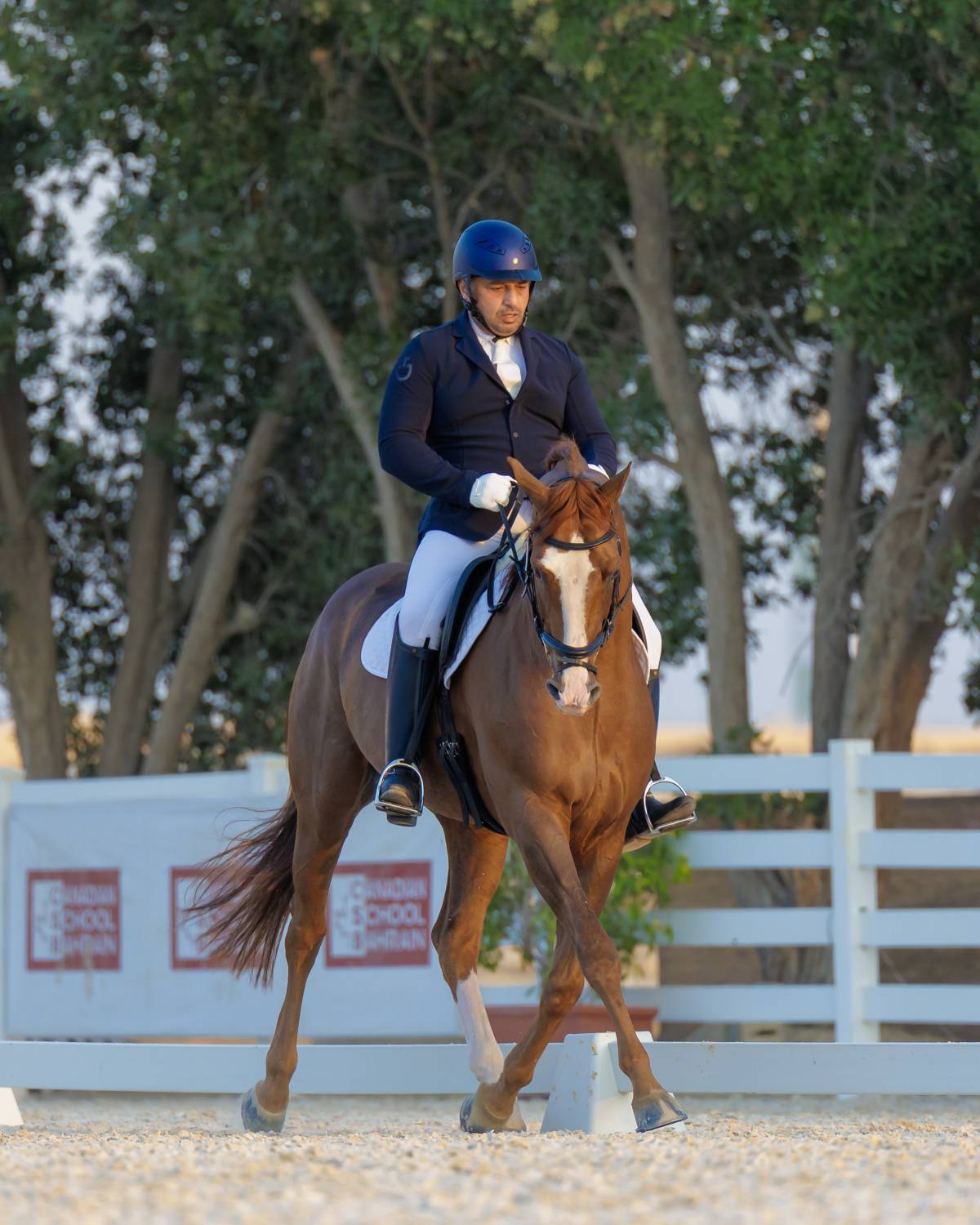 مشاركة واسعة ومنافسة قوية في بطولة الفرسان لترويض الجياد