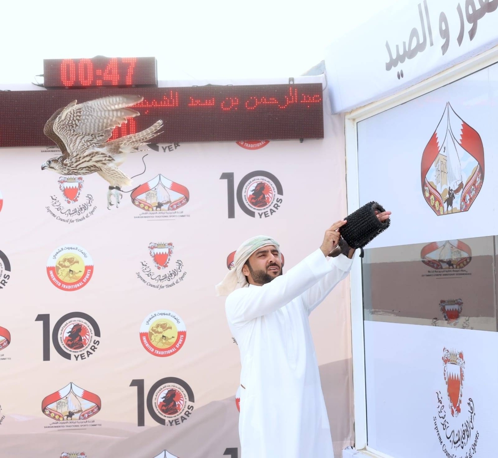 صقارو الخليج يتألقون في موسم ناصر بن حمد للصقور والصيد
